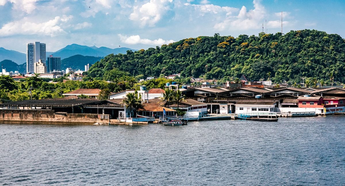 China to Brazil Shipping: Santos Port and South America Trade