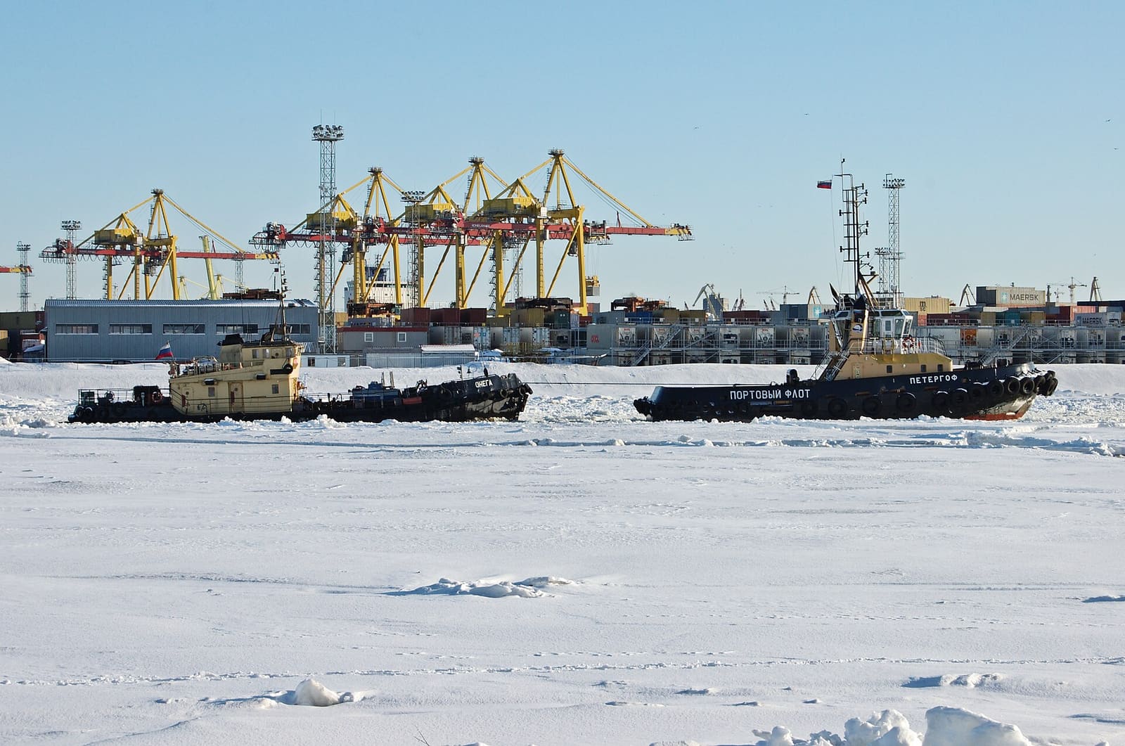 St. Petersburg vs. Novorossiysk vs. Vladivostok